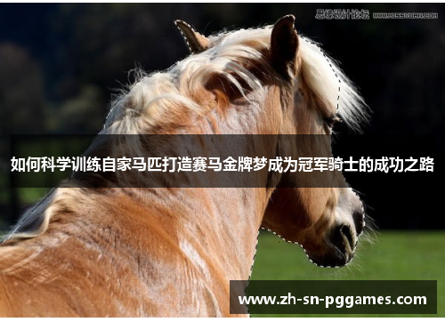 如何科学训练自家马匹打造赛马金牌梦成为冠军骑士的成功之路