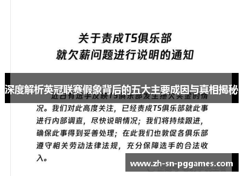 深度解析英冠联赛假象背后的五大主要成因与真相揭秘